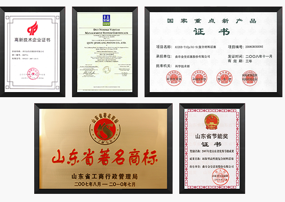 金皇資質(zhì)